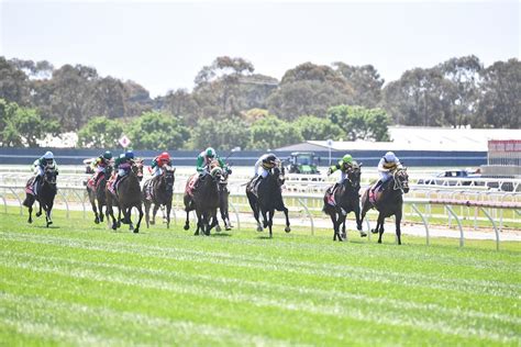 Geelong Cup 2024 Tips, Betting & Results .